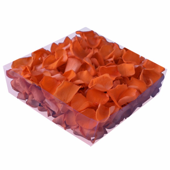 Rosenblätter Konserviert orange (1,2,8 o. 24l)