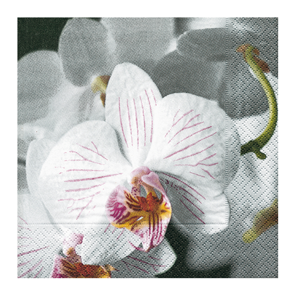 Servietten "Beautiful Orchid" 21037 (20 Stück)