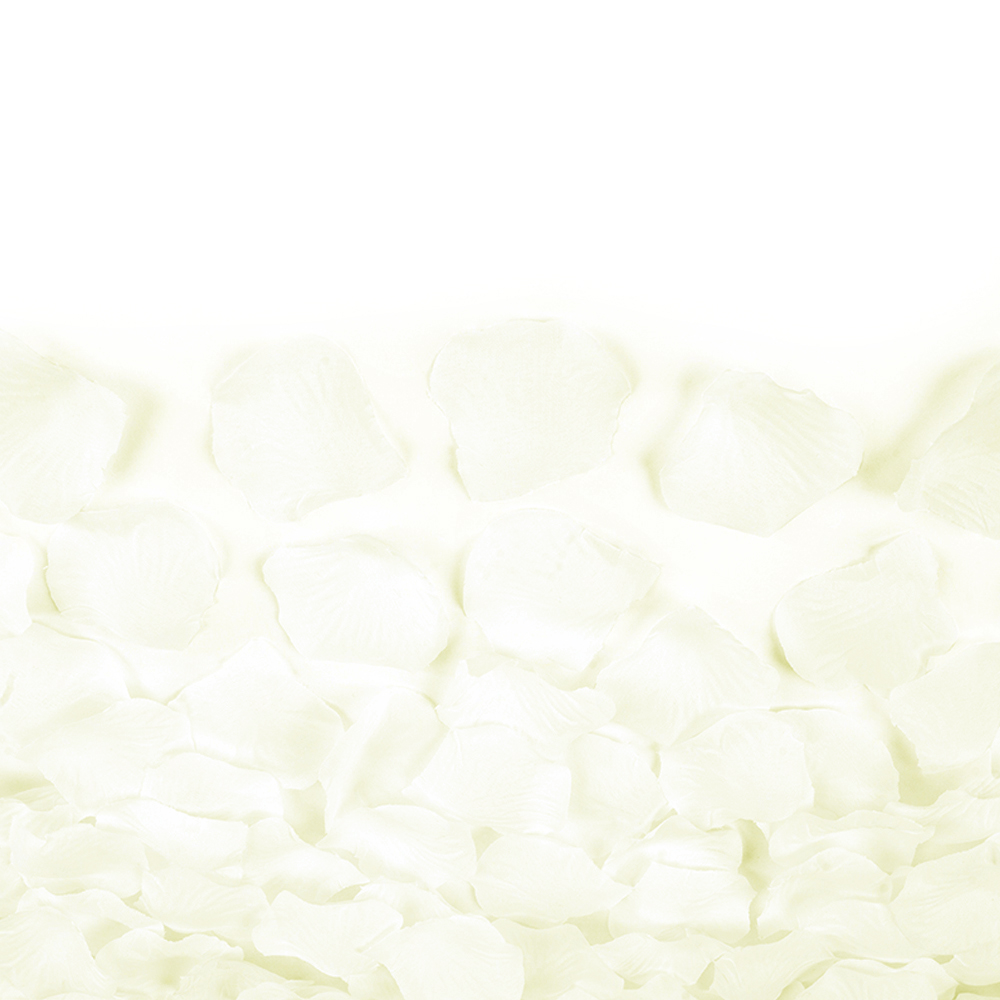 Confetti Cannon "Rosenblätter" 80 cm ivory