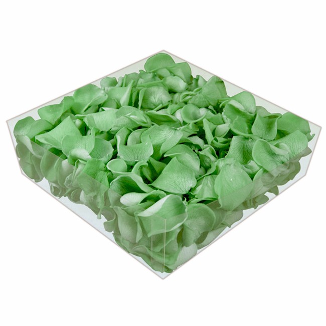 Rosenblätter Konserviert grün (1,2,8 o. 24l)